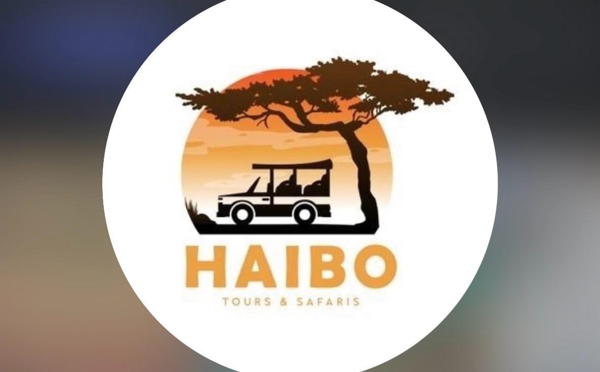 HAIBO Tours logo